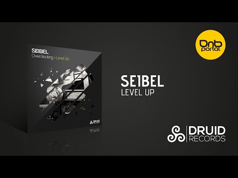 Seibel - Level Up [Druid Records]