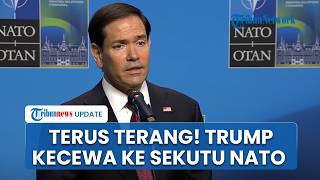 Menlu AS Ungkap Kekecewaan Trump kepada Sejumlah Sekutu NATO di Tengah Krisis Iran dan Hormuz