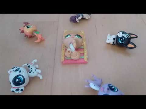 Hank Solo LPS (söpö)