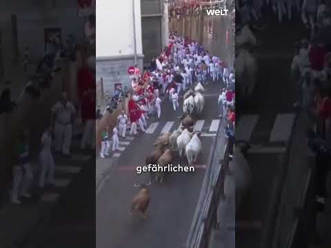 Video Thumbnail: SPANIEN: Blutige Stierhatz in den Gassen von Pamplona! Verletzte und Proteste #shorts