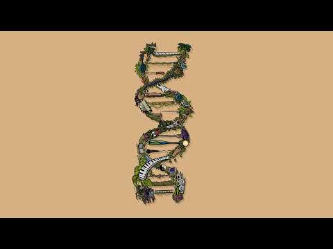 Video thumbnail for Innertwine