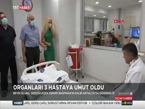 Organları 3 Hastaya Umut Oldu 