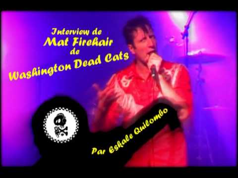 Interview de Mat Firehair des Washington Dead Cats par Eskale Quilombo