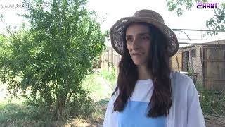 Առավոտը Շանթում-Ուսումնական ագարակ