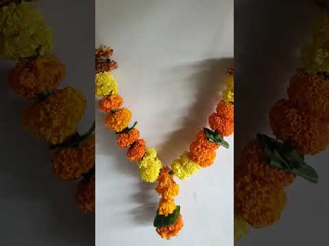 Pravina Flower Studio