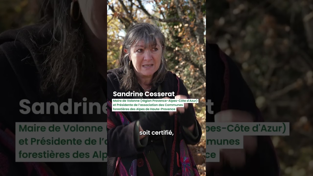 🌲 Le bois certifié au coeur des communes. #foret #bois #constructionbois