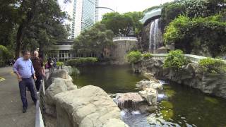 Waterfall in Hong Kong park | Hong Kong Tourism