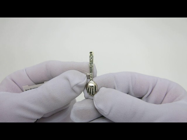 Серебряная ложка загребушка 8100180 Видеообзор