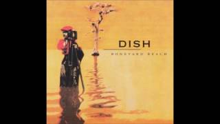 Dish - Headlights