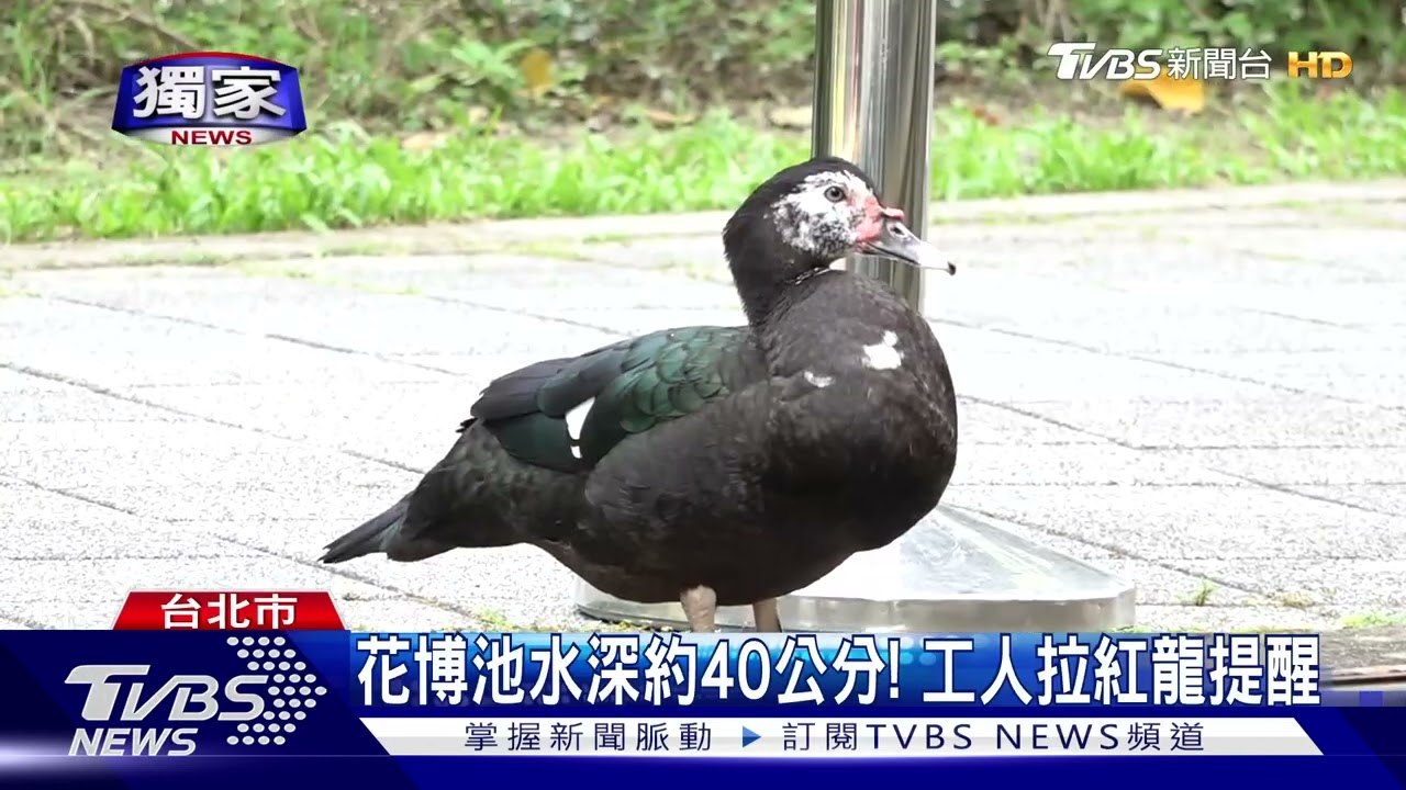是河不是路!男子抄近路掉落池底 全濕
