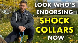 Vet President Endorses Shock Collar Use on National Radio