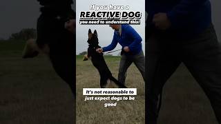 You probably have a reactive or aggressive canine, you NEED to see this! #dogtraining #dogtrainer #reactivity