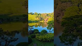 声あり(緊張)万博記念公園コスモス・コキアフェスタ #旅行vlog #日本庭園 #ナレーション