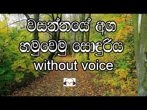 Wasanthaye Aga Karaoke (without voice) වසන්තයේ අග හමුවෙමු සොඳුරිය
