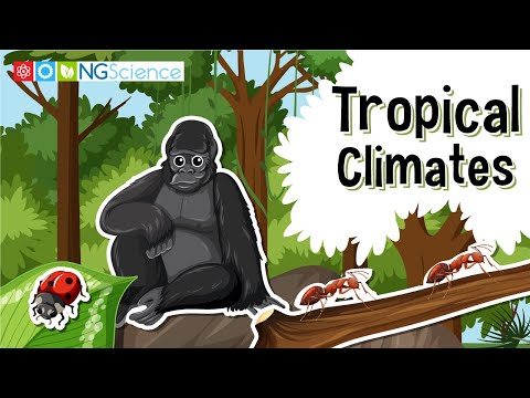 Tropical Climates