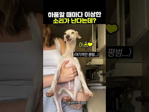 하품할 때마다 이상한 소리가 난다는데?