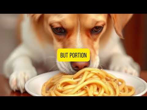Can Dogs Eat Pasta? #doghealth  #dognutrition  #pasta  #petsafetytips  #dogsfood  #healthydogs
