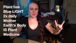 The Blue Medicine Buddha Mantra ~ Blue Ray