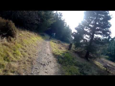 2019 0217 021445 051