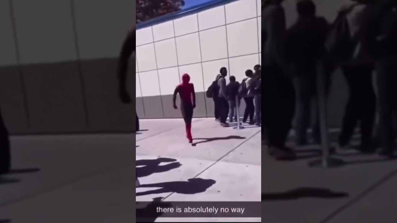 Boy Dresses as Spider-Man to Propose to Girl, but Ends Up Embarrassing Himself Instead