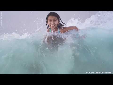 biocide - sea of tears