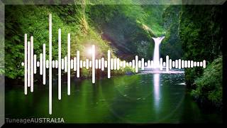 ¡MAYDAY! - How Would You Know