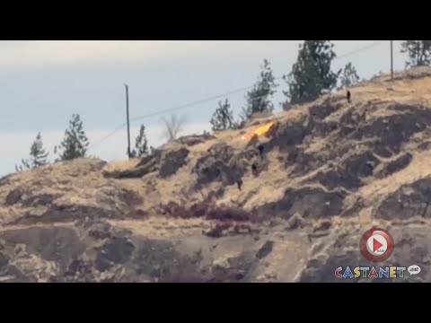 Officers chase down suspected arsonist on Kelowna's Knox Mountain