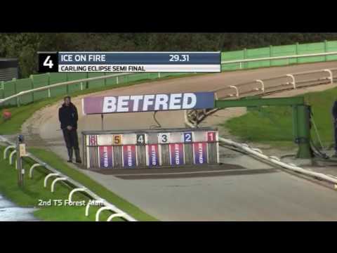 2019 CARLING ECLIPSE - 2ND SEMI - T4 ICE ON FIRE