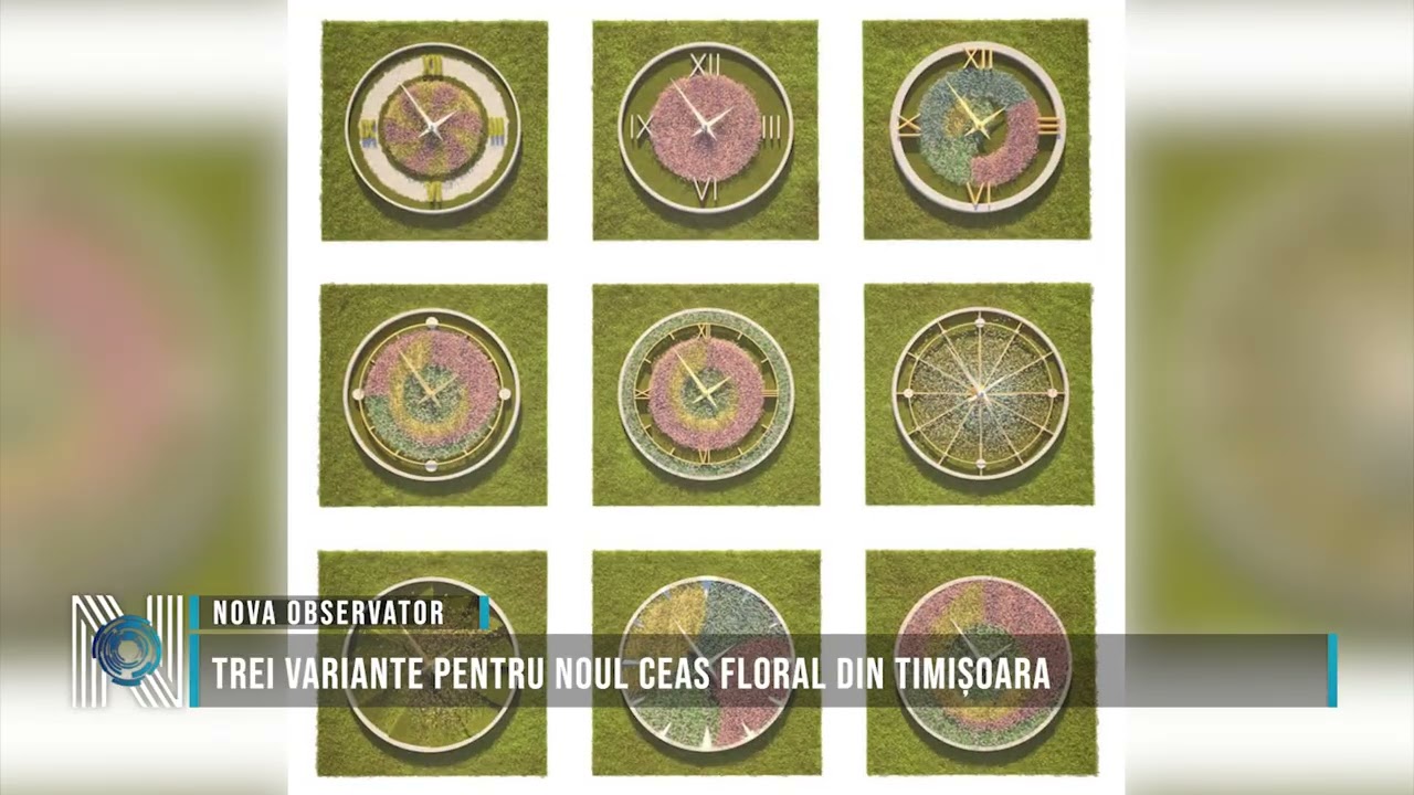 Trei variante pentru noul Ceas Floral din Timișoara