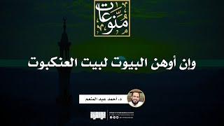 صورة وإن أوهن البيوت لبيت العنكبوت | خطبة | د. أحمد عبد المنعم