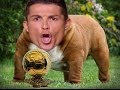 WHO LET THE DOG OUT? - Marca Blanca