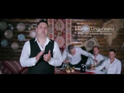 MARIAN UNGUREANU - V-AM DAT GRAUNTE DIN PALMA