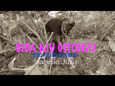 BIBA MUGITONDO (286 GUSHIMISHA) by Isabelle Jully