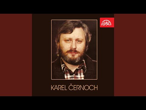 Taková klidná noc