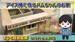 新章～アイス棒で作るハムスターのお家【ロトとテトの育成日記】