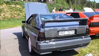 Audi Coupe (B2) 1980 - 1988