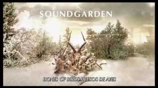 Soundgarden -  Bones Of Birds (subtitulado español)