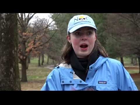 March for Our Lives in St. Louis
