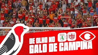 DE OLHO NO GALO DE CAMPINA - SOUSA X CRB
