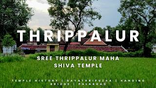 Temple video