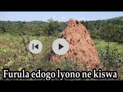 Fulula Edogo ,omudibo ne bisirani nga okozesa ekiswa ekifurura