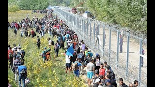 Hungary Builds a Wall, Cuts Illegal Immigration by Over 99 %