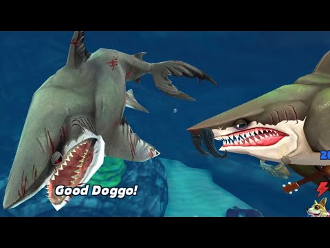 Megalodon Arabian Sea Live Contest !! - Hungry Shark World