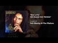 One Love/People Get Ready (Dub Version) - Bob Marley & The Wailers