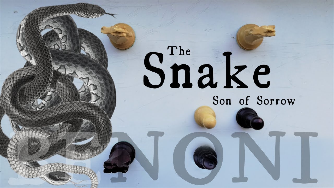 A Detailed Guide to the Snake Benoni