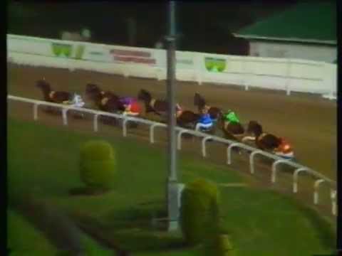 1980 Interdominions - Trotters' Grand Final, Harold Park, Sydney: Hano Direct