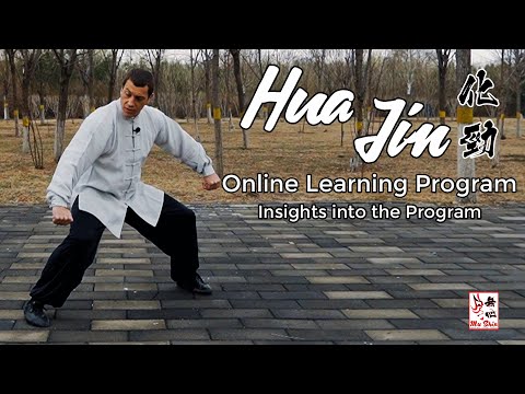 Hua Jin - Online Learning Program Insights
