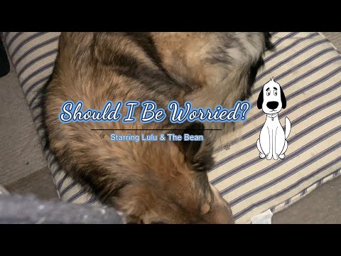 Play video on YouTube