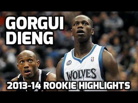 Gorgui Dieng 2013-14 NBA Rookie Highlights (HD)