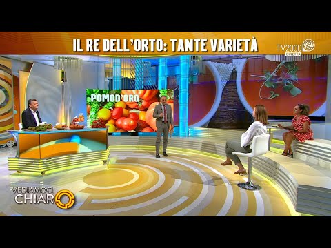 Vediamoci Chiaro, 6 giugno 2022 - Il valore del pomodoro italiano